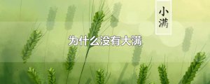 ​为什么没有大满