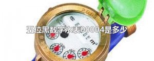 ​五位黑数字水表00004是多少