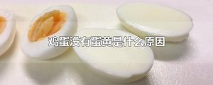 ​鸡蛋没有蛋黄是什么原因