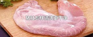 ​猪肚怎样清洗更干净