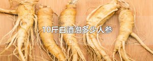 ​10斤白酒泡多少人参