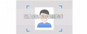 ​网上确认证件照要求