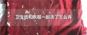 ​卫生纸和衣服一起洗了怎么弄干净