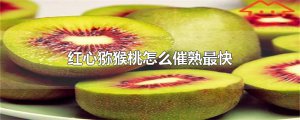 ​红心猕猴桃怎么催熟最快