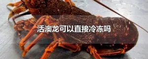 ​活澳龙可以直接冷冻吗
