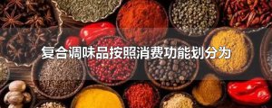 ​复合调味品按照消费功能划分为