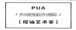 ​puv恋爱套路什么意思