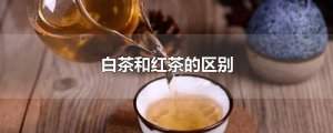 ​白茶和红茶的区别