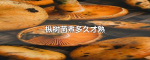 ​枞树菌煮多久才熟