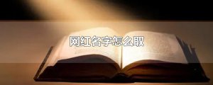 ​网红名字怎么取