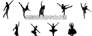 ​舞蹈动作的专业术语
