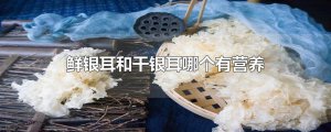 ​鲜银耳和干银耳哪个有营养