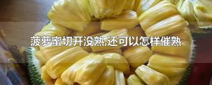 ​菠萝蜜切开没熟,还可以怎样催熟