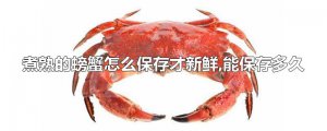​煮熟的螃蟹怎么保存才新鲜,能保存多久