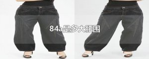 ​84a是多大腰围