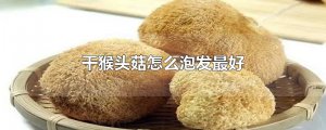 ​干猴头菇怎么泡发最好
