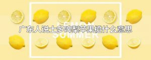 ​广东人说士多啤梨苹果橙什么意思