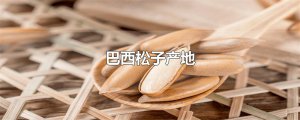 ​巴西松子产地