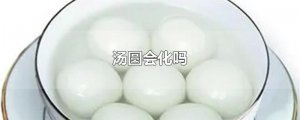 ​汤圆会化吗