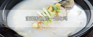 ​菠菜和鱼能一起吃吗