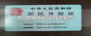 ​自己的身份证号码在哪里查?