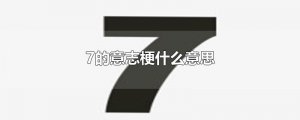 ​7的意志梗什么意思