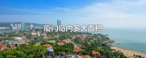 ​厦门岛内多大面积