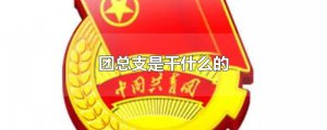 ​团总支是干什么的