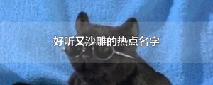 ​好听又沙雕的热点名字