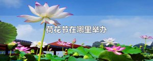 ​荷花节在哪里举办