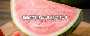 ​麒麟西瓜有籽还是无籽