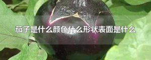 ​茄子是什么颜色什么形状表面是什么