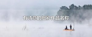 ​有诗意的摄影作品名称