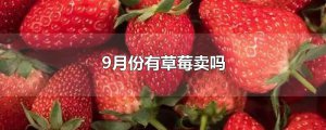 ​9月份有草莓卖吗