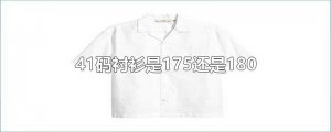 ​41码衬衫是175还是180