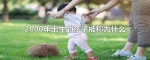 ​2000年出生的孩子被称为什么