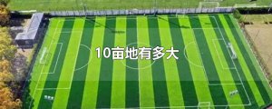 ​10亩地有多大