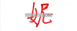 ​妮妮名字的寓意