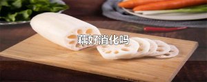​藕好消化吗
