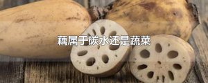 ​藕属于碳水还是蔬菜