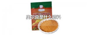 ​奥尔良是什么调料