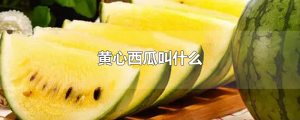 ​黄心西瓜叫什么
