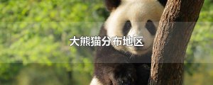 ​大熊猫分布地区