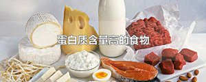 ​蛋白质含量高的食物