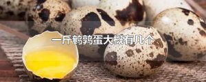 ​一斤鹌鹑蛋大概有几个