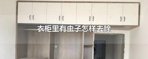​衣柜里有虫子怎样去除