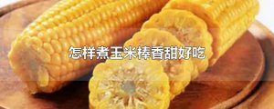 ​怎样煮玉米棒香甜好吃