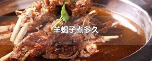 ​羊蝎子煮多久