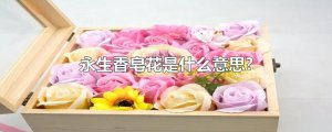 ​永生香皂花是什么意思?