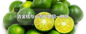 ​青金桔与小青柠是同一种吗